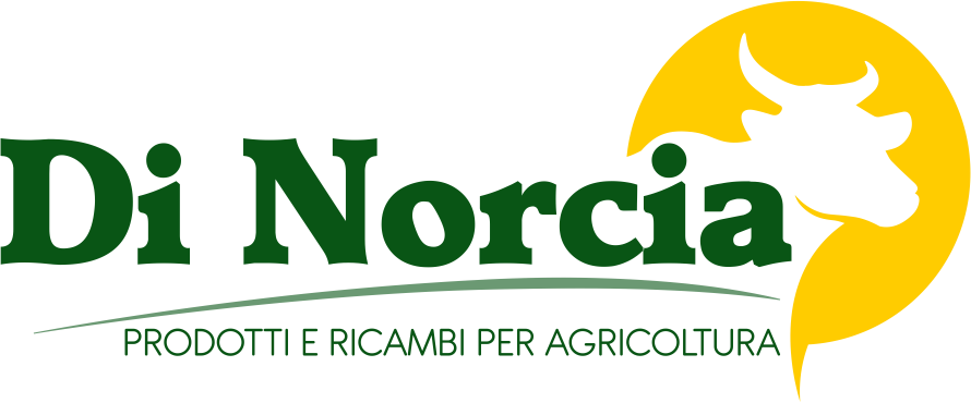 Di Norcia