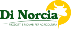 Di Norcia